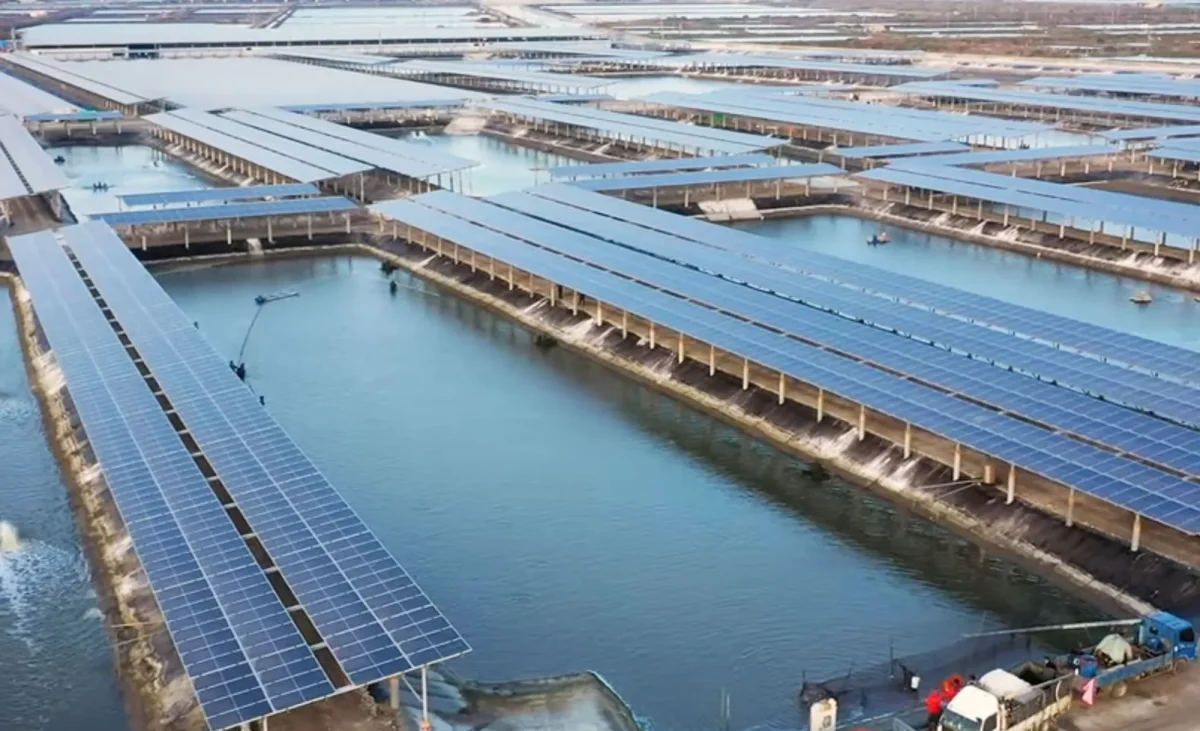 Solar Solutions for Fisheries